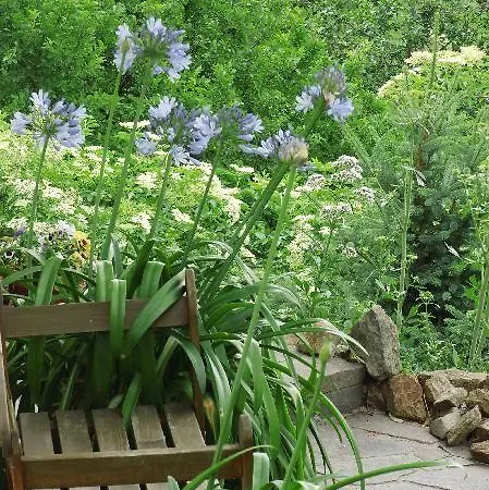 Ferienwohnung-mund *