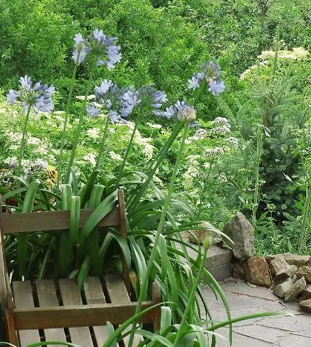 Ferienwohnung-mund *